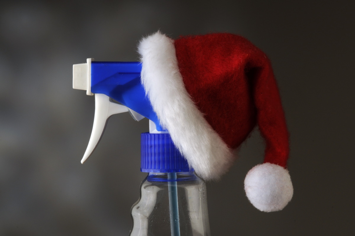 holiday cleaning tips